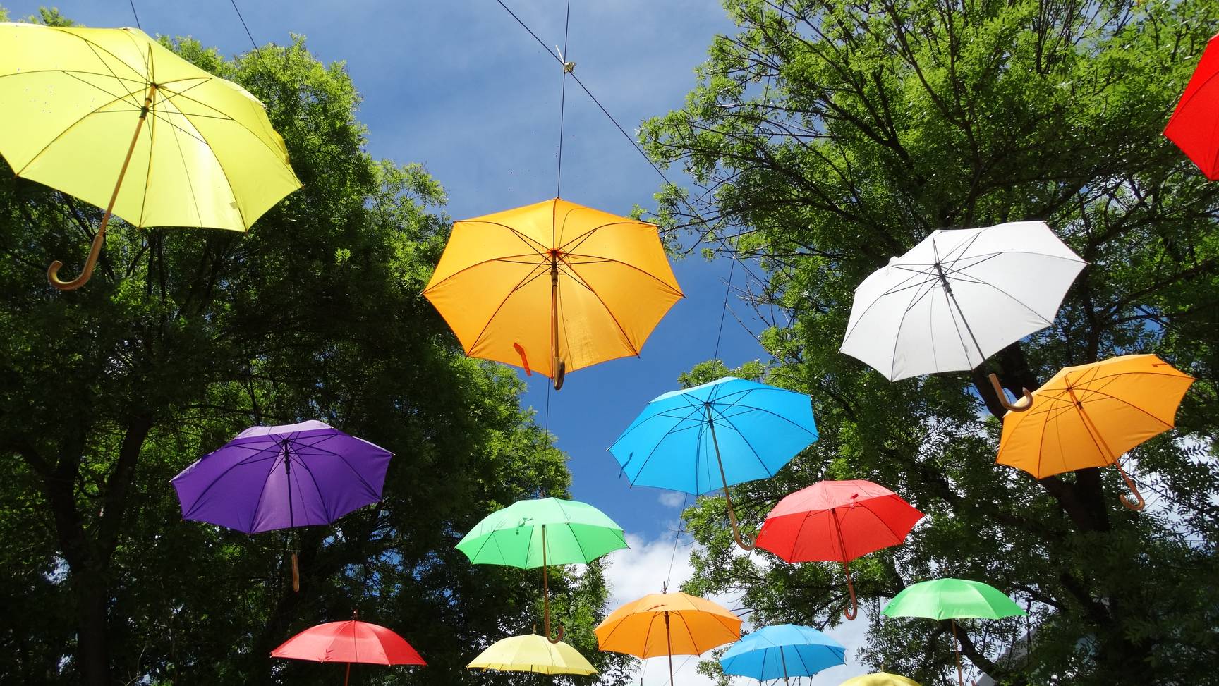  Нова Загора 